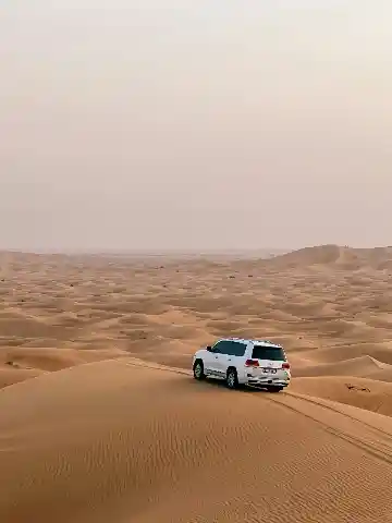 Desert Safari